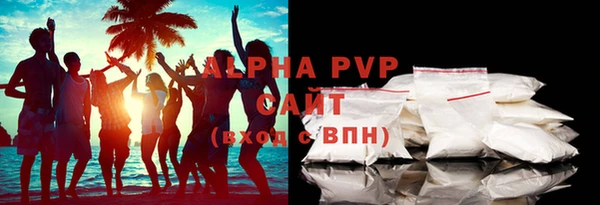 твердый Новодвинск