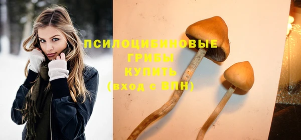 кокаин Новозыбков