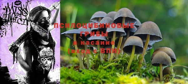 твердый Новодвинск