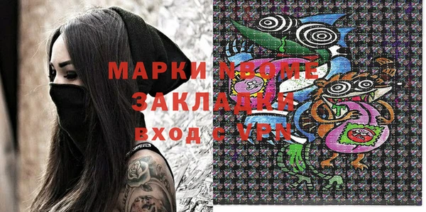 твердый Новодвинск