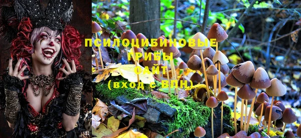 твердый Новодвинск