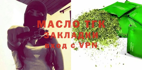 твердый Новодвинск