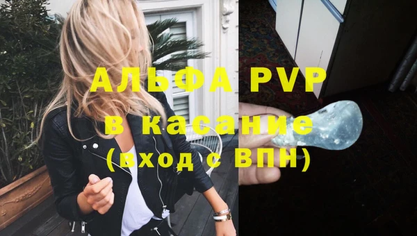 твердый Новодвинск