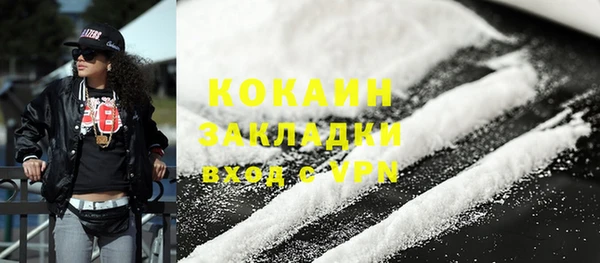 твердый Новодвинск