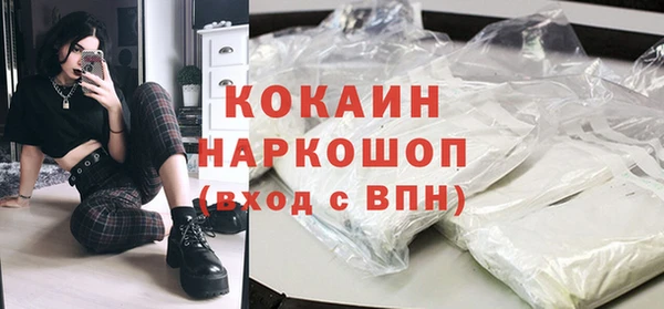 твердый Новодвинск