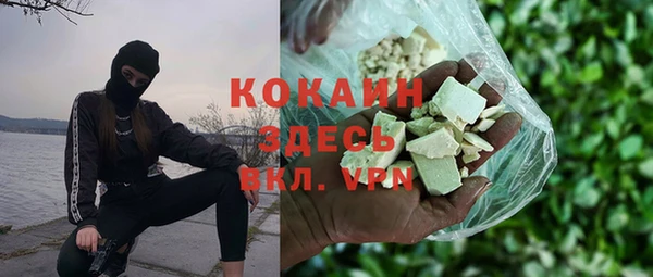 твердый Новодвинск