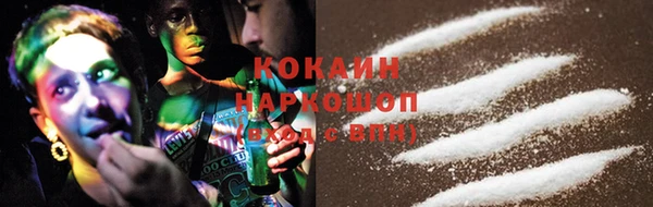 твердый Новодвинск