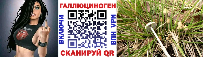 Псилоцибиновые грибы мицелий Котовск