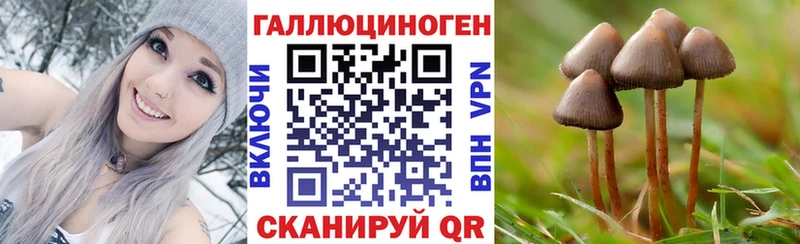 Купить Котовск Галлюциногенные грибы мицелий